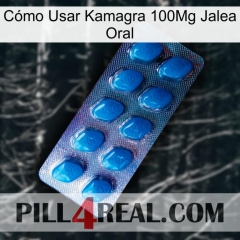 Cómo Usar Kamagra 100Mg Jalea Oral viagra1